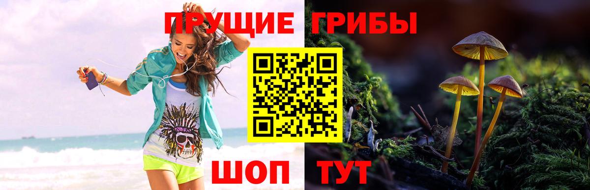 Галлюциногенные грибы ЛСД Бердск